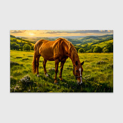 Бумага для упаковки Зелёные холмы и конь