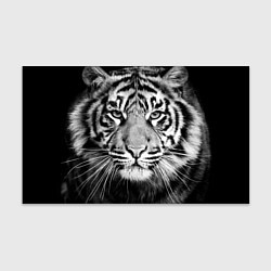 Бумага для упаковки Красавец тигр, цвет: 3D-принт