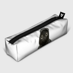 Пенал для ручек Мем окак с котом, цвет: 3D-принт