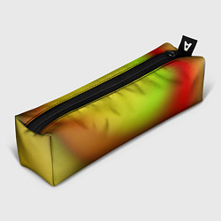 Пенал Color multicolored gradient