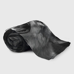 Плед флисовый Зевающая лиса, цвет: 3D-велсофт — фото 2