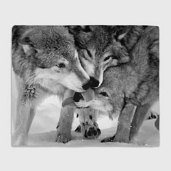 Плед Волчья семья