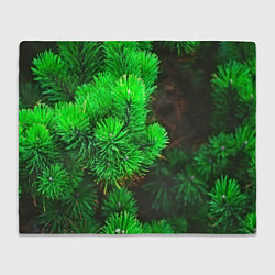 Плед флисовый Зелёная ель, цвет: 3D-велсофт