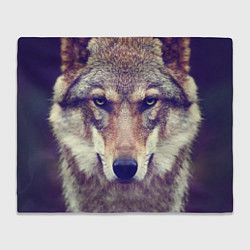 Плед флисовый Angry Wolf, цвет: 3D-велсофт