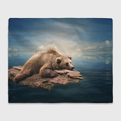 Плед флисовый Грустный медведь, цвет: 3D-велсофт