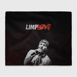 Плед Limp Bizkit