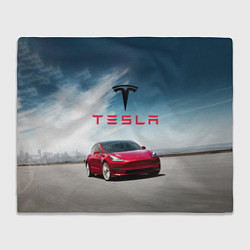 Плед Tesla Model 3
