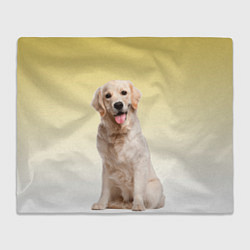 Плед флисовый Лабрадор ретривер пес, цвет: 3D-велсофт