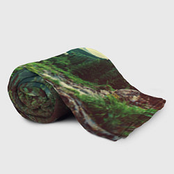 Плед флисовый Красивый лес, цвет: 3D-велсофт — фото 2