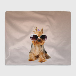 Плед флисовый Собака в очках, цвет: 3D-велсофт