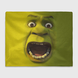 Плед Shrek is Yelling