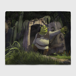 Плед Shrek: Somebody Once Told Me