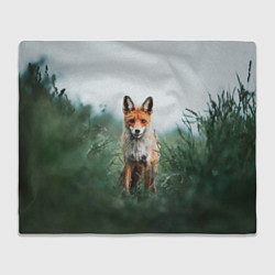 Плед Лисица в зелени