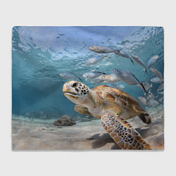 Плед Морская черепаха