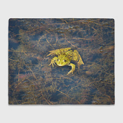 Плед Лягушка