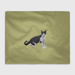 Плед флисовый Смотрящая кошка, цвет: 3D-велсофт