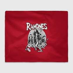 Плед флисовый BW Ramones, цвет: 3D-велсофт