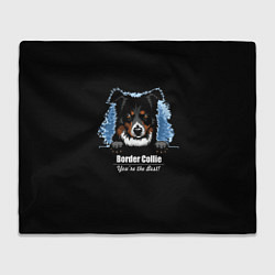 Плед флисовый Бордер-Колли Border-Collie, цвет: 3D-велсофт