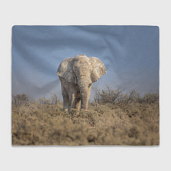 Плед Африканский белый слон