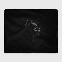 Плед Черный кот на черном фоне