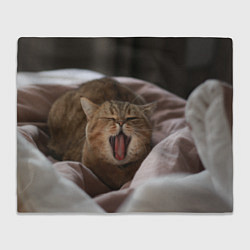 Плед флисовый Зевающий кот на кровати, цвет: 3D-велсофт