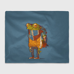 Плед Лягуха-путешественица