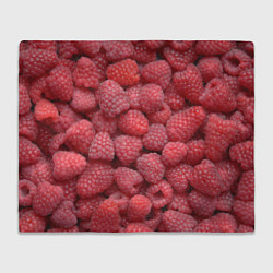 Плед флисовый Малина - ягоды, цвет: 3D-велсофт