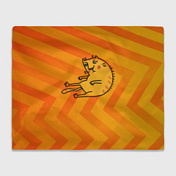 Плед флисовый Уставший рыжий кот, цвет: 3D-велсофт