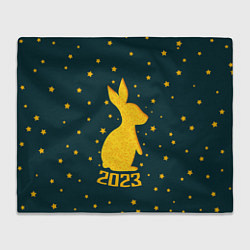 Плед флисовый Год кролика - 2023, цвет: 3D-велсофт