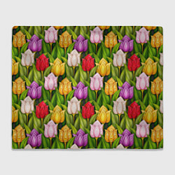 Плед флисовый Объемные разноцветные тюльпаны, цвет: 3D-велсофт