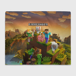 Плед Александра Minecraft