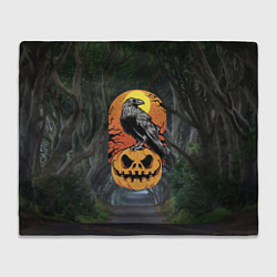 Плед Ворон, сидящий на тыкве - Halloween