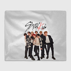 Плед Stray Kids white background