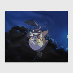 Плед Night flight Totoro