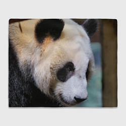 Плед флисовый Загадочная панда, цвет: 3D-велсофт