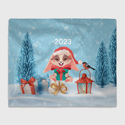 Плед флисовый Зайчик с подарком - 2023, цвет: 3D-велсофт