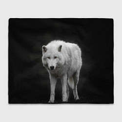 Плед Белый волк на темном фоне