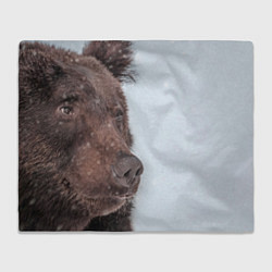 Плед флисовый Медведь в интерьере, цвет: 3D-велсофт