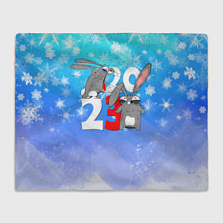 Плед Кролики 2023 года