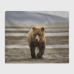 Плед флисовый Медвежонок в аэропорту, цвет: 3D-велсофт