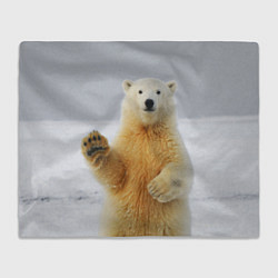 Плед флисовый Белый медведь приветствует, цвет: 3D-велсофт