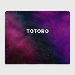 Плед Totoro gradient space