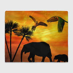 Плед флисовый Африканский пейзаж, цвет: 3D-велсофт