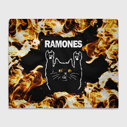 Плед Ramones рок кот и огонь