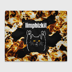 Плед Limp Bizkit рок кот и огонь