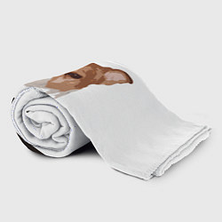 Плед флисовый Джек-рассел терьер, цвет: 3D-велсофт — фото 2