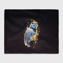Плед флисовый Снежная сова, цвет: 3D-велсофт