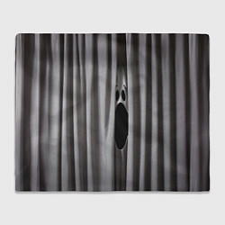 Плед флисовый Призрак в серых шторах, цвет: 3D-велсофт