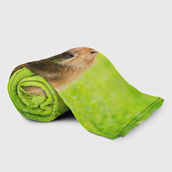 Плед флисовый Capybara on green grass, цвет: 3D-велсофт — фото 2