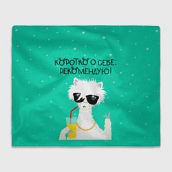 Плед Лама в очках: коротко о себе рекомендую